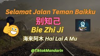 Lagu Mandarin TOP Bie Zhi Ji 别知己 SELAMAT JALAN TEMAN BAIKKU  海来阿木Hai Lai A Mu HaiLai Amu  VIRAL [upl. by Gimble]