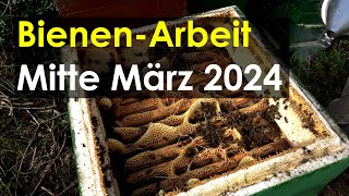 BienenArbeit Mitte März 2024 Erweitern Einengen Leerzargen [upl. by Caves]