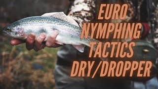 Euro Nymphing Techniques With Bradley Clodfelter  Dry Dropper setup [upl. by Yager414]