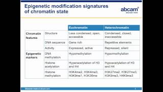 Chromatin Immunoprecipitation ChIP step by step [upl. by Ellene110]