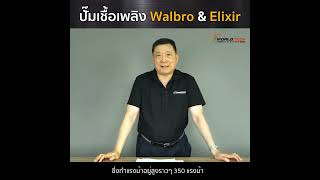 EP120 ปั๊มเชื้อเพลิง ปั๊มติ๊ก Walbro และ Elixir [upl. by Ping135]