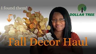 DOLLAR TREE FALL DECOR HAUL 2023 [upl. by Nedarb]