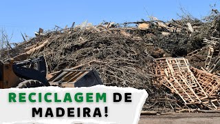 COOPERATIVA QUE RECICLA MADEIRA VOCÊ JÁ VIU reciclagem [upl. by Alastair403]