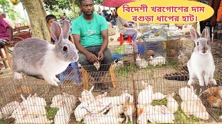 Rabitt market in Bangladesh  rabbit price in bangladesh  গরগোশের হাট ধাপের হাট  খরগোশের দাম [upl. by Alvie]