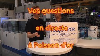 Vos questions en directe à Poisson dor [upl. by Anide]