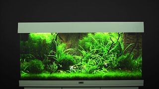 Aquarium einrichten JUWEL Rio 180  Tutorial [upl. by Aicilet]