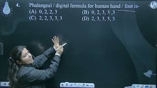 Phalangeal  digital formula for human hand  foot is [upl. by Dynah887]