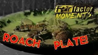 Fear Factor Moments  Roach Bob amp Eat [upl. by Carrnan13]