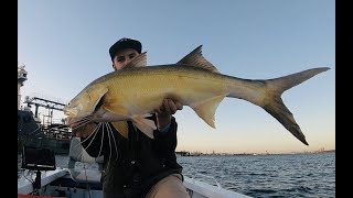 HOW TO Catch Threadfin Salmon In The Brisbane River On Lures [upl. by Lissie]