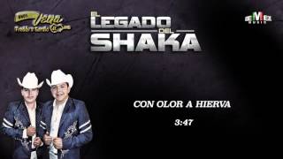 Con Olor a Hierva  Hermanos Vega Jr Audio Oficial [upl. by Nocaed829]