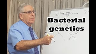 Bacterial genetics  الوراثة البكتيرية [upl. by Dewhirst]