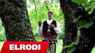 Gjovalin Prroni  Kur degjoj zanin e bilbilit Official Video HD [upl. by Eyla]