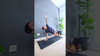 Beginners Vinyasa Yoga  Practise here 👆 [upl. by Philis]