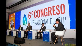 6° Congreso GASNOVA  Gas natural como fuente de Gas LP [upl. by Memory146]