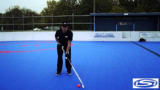 Stick Skillz Ball Hockey Stick Handling [upl. by Procter]