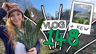 Ep148  Wild Garlic Gooseberry Pruning Kew Gardens and Pink Panther Onions  Plot 37 [upl. by Epilihp]