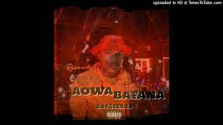 Aowa BafanaTo ShebeshxtMellow n Sleazy Nandipha 808 amp Dj Maphorisafeat Young BeastJayson [upl. by Eidde]