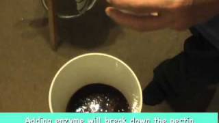 Must see quothow toquot brew Blackberry wine pulp fermentation [upl. by Duffy]