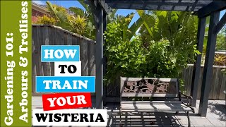 How to Train your Wisteria  Simple amp Easy [upl. by Giuliana]