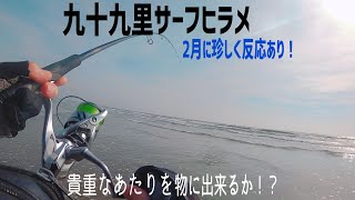 2月の釣行！【千葉県九十九里サーフヒラメ】 [upl. by Damle]