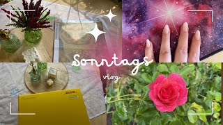 🌺🤗 Sonntags Vlog  Ich war im Nagelstudio 🤗🌺 [upl. by Isborne]