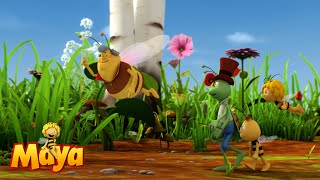 🍯🌹🌻 Bee Day  Maya the bee 🌻🌹🍯 [upl. by Anica]