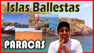 PARACAS  ISLAS BALLESTAS 2020 😍😱🇵🇪 [upl. by Htbazile]