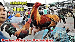 Sentro Ng Bentahan ng Manok sa Probinsya Ng BATANGAS [upl. by Blakely746]