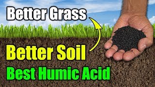 Best Humic Acid Product for Lawns [upl. by Gardener346]