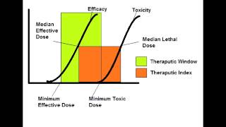 Therapeutic Index amp Therapeutic Window [upl. by Ettevahs]