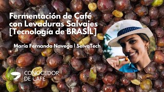 FERMENTACIÓN aeróbica de CAFÉ con LEVADURAS silvestres y tecnología de Brasil María Fernanda Navega [upl. by Norved]