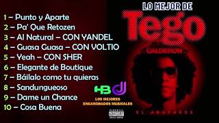 Lo Mejor de Tego Calderon Reggaeton  HBDJ [upl. by Ecnarretal]