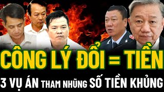 LÒ BÁC TÔ LÂM CHÁY TỚI BỘ TƯ PHÁP KHI CÔNG LÝ ĐỔI CHÁC BẰNG TIỀN [upl. by Naesed662]