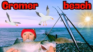 Cromer beach sea fishing Uk north Norfolk shore angling new spot success multi species day night [upl. by Atsahs358]