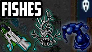 EBB AND FLOW HUNT FISHES 4 VOCATION  BEST respawn in TIBIA [upl. by Bac]