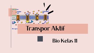 TRANSPOR AKTIF KELAS 11 [upl. by Acim579]