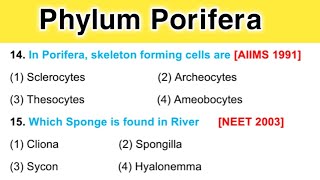 Phylum Porifera  Phylum Porifera bsc 1st Year Animal Kingdom MCQ [upl. by Harobed]