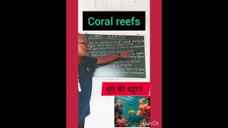 Coral reefsमूँगे की चट्टानोंmarine lifecoral polyps Lals study yard By PKLal sir [upl. by Scherman311]