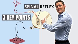 How Reflexology Really Works  Best Pressure Points On The Body [upl. by Sergu944]