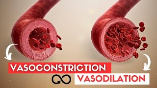 VASODILATION and VASOCONSTRICTION [upl. by Leacock]