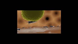 Immune Cell Eating Bacteria  opsonizationphagocytosis in 3D shorts [upl. by Liemaj]