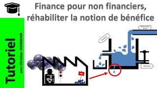 Finance pour non financiers réhabiliter la notion de bénéfice [upl. by Lovmilla]