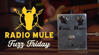 Fuzz Friday  Austone Fuzz Nutz Demo [upl. by Alisan]