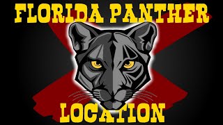 RDR2 ONLINE FLORIDA PANTHER LOCATION [upl. by Tavis]