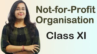 Income amp Expenditure Account  Non Profit Organisations  TS Grewal Accounts Class 11th [upl. by Nevin]