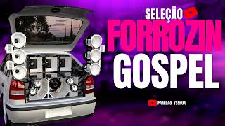 Seleção Forrozin Gospel Repertório Atualizado 2024  Os Melhores Remix Gospel [upl. by Acinom]