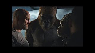 Rocket vs Red Donkey  Fight Scene  War for the Planet of the Apes 2017LOWI [upl. by Bond693]