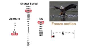 How to Pick the Best Aperture Shutter Speed and ISO Settings with John Greengo  CreativeLive [upl. by Maidy]