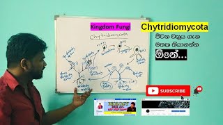 ChytridiomycotaKingdom Fungi ජීවන චක්‍රය ඕනේ [upl. by Concettina]