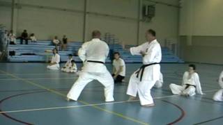 KARATE DO SHITO RYUDOMINIQUE ET PASCAL DEWEVREDOJO NOGENT SUR OISE27 JUIN 2010GUISCARDmpg [upl. by Atorod]